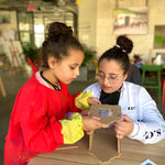 Bird House Craft Box
